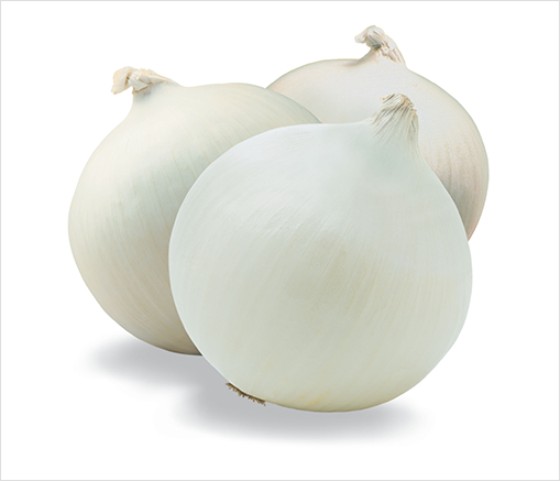 Fresh Onion
