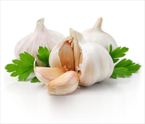 Fresh Garlic